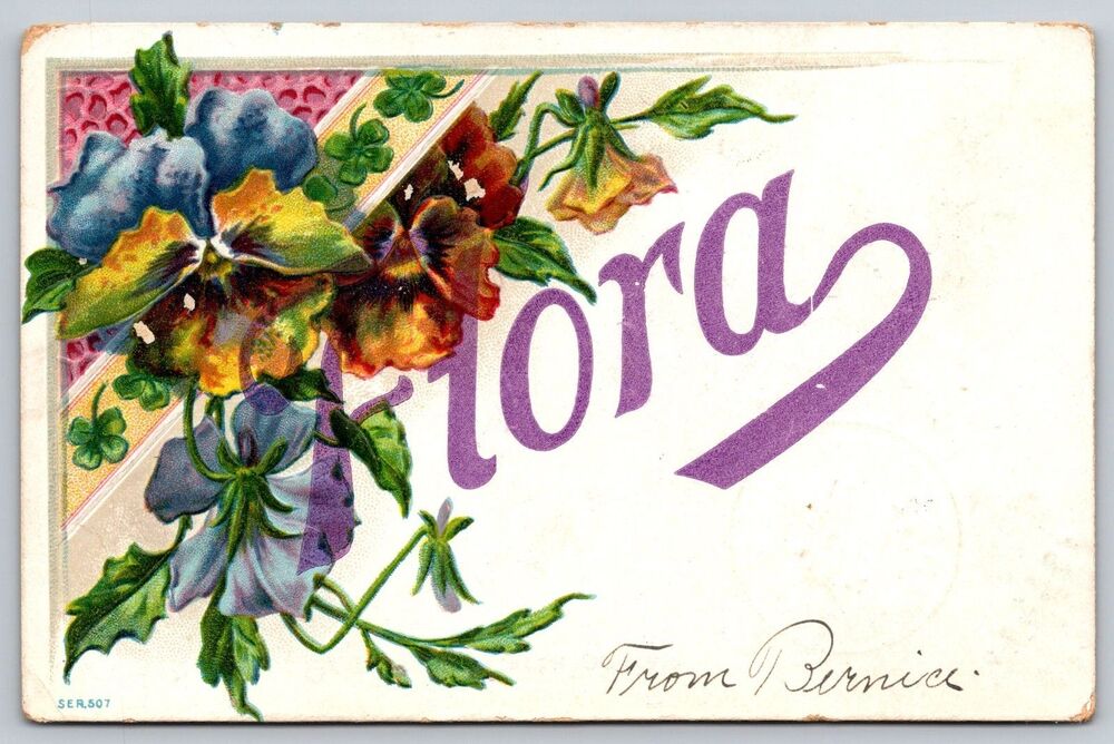 1908 FLORA Name Postcard Mrs. W.R. Hamilton Richwood Ohio Embossed Pansy